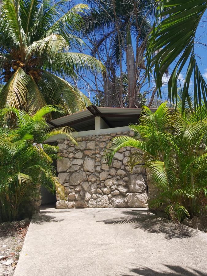 Aldea Halkab-Pal Hostal Y Cabanas Huay Pix エクステリア 写真