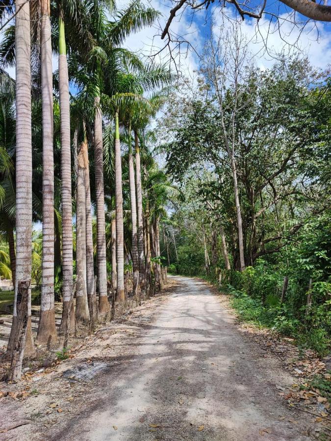 Aldea Halkab-Pal Hostal Y Cabanas Huay Pix エクステリア 写真